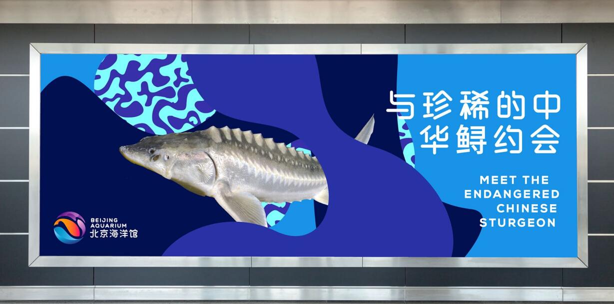 海報設(shè)計收費標(biāo)準