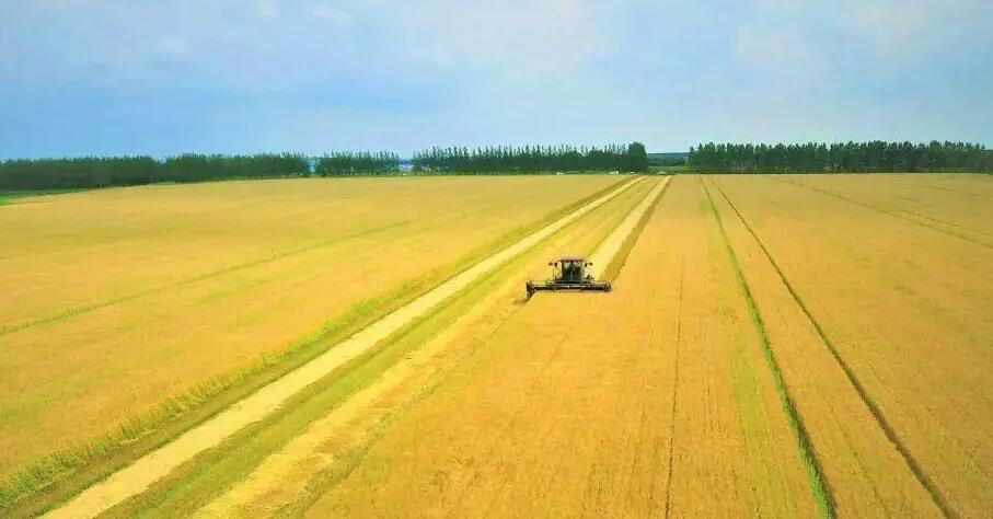 農產(chǎn)品品牌化