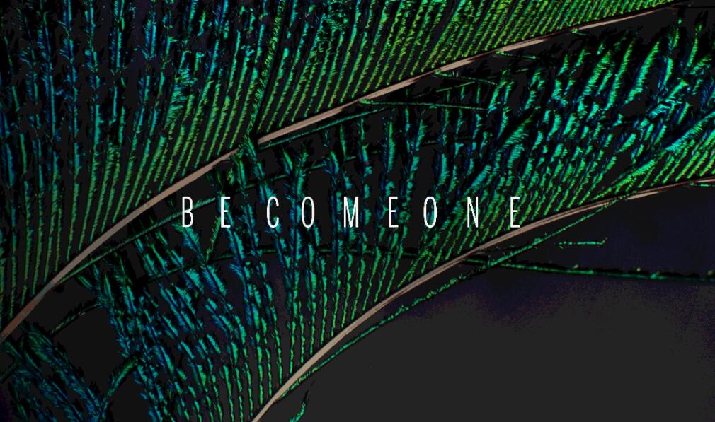 品牌設(shè)計(jì)視覺