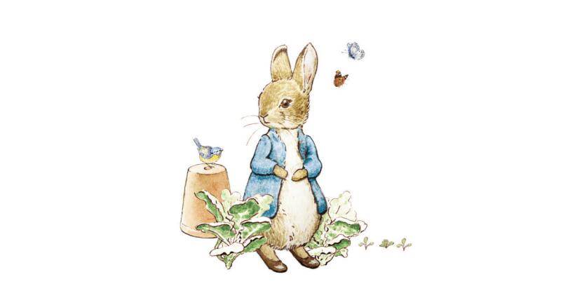 彼得兔品牌視覺形象升級(jí)