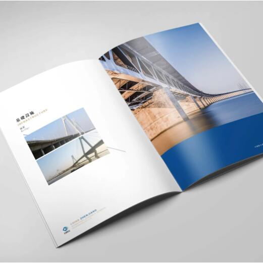 上海設(shè)計(jì)畫冊怎么收費(fèi) 上海畫冊設(shè)計(jì)公司