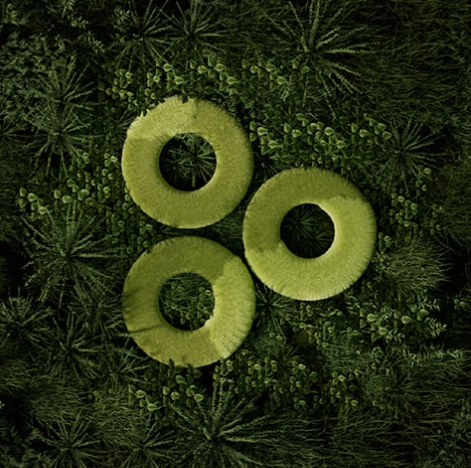 學(xué)校校徽涉設(shè)計(jì)的核心理念