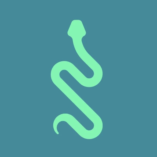 蛇年蛇形Logo的設(shè)計理念